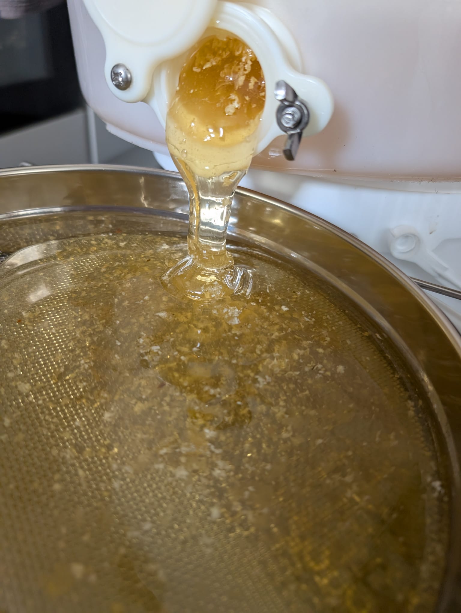 Runny or Crystallised